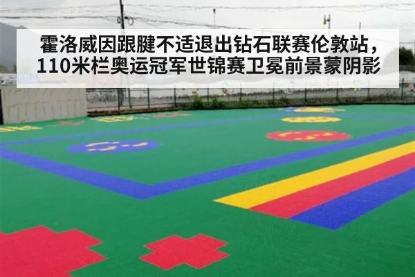 霍洛威因跟腱不适退出钻石联赛伦敦站,110米栏奥运冠军世锦赛卫冕前景蒙阴影